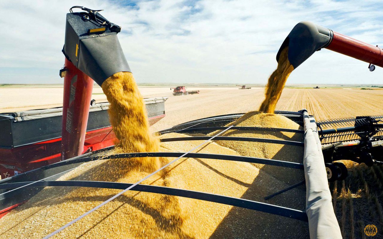 Россия экспортировала 4,5 млн тонн зерна в сентябре